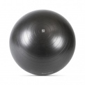 Мяч гимнастический Fitnessport FT-GB-65