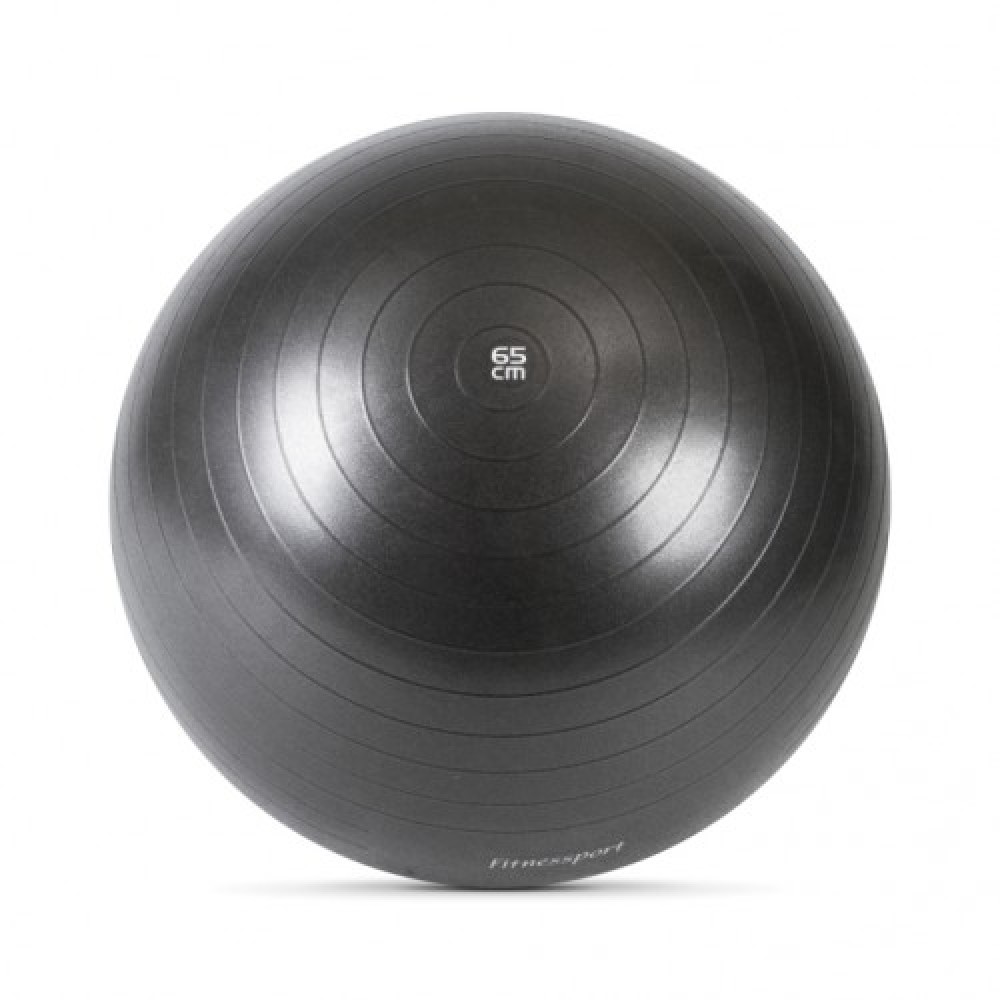 Мяч гимнастический Fitnessport FT-GB-65 Мяч гимнастический Fitnessport FT-GB-65