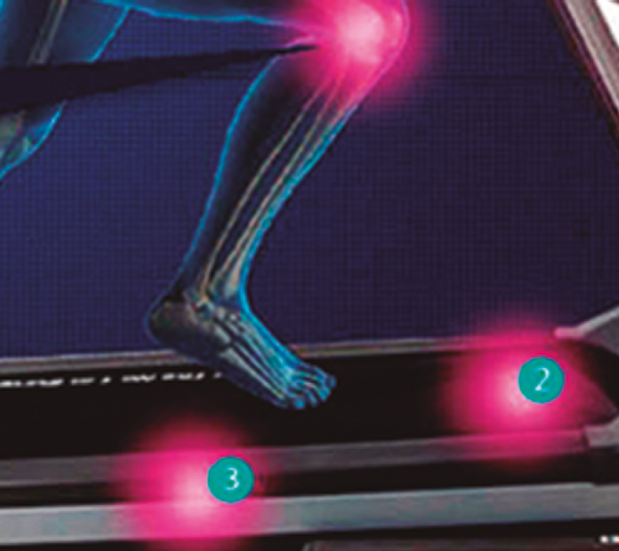 6 ������������ ����������� ������� ������� BH Fitness Pioneer R3