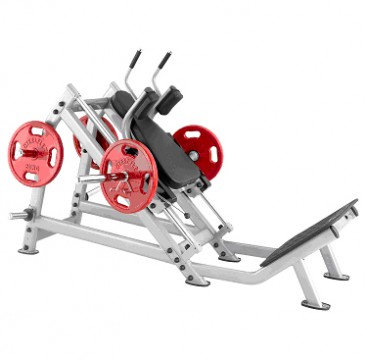 1598_big.jpg