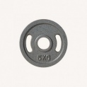 Диск олимпийский металлический JOHNS DR71027-5G