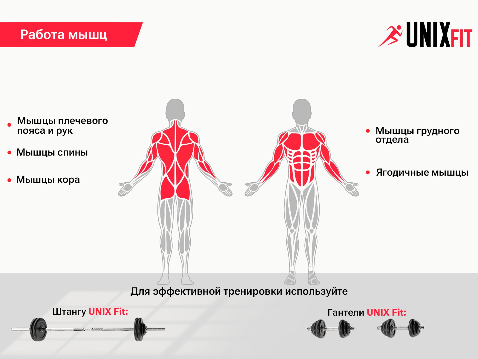 Скамья силовая универсальная UNIX Bench 110 Скамья силовая универсальная UNIX Bench 110
