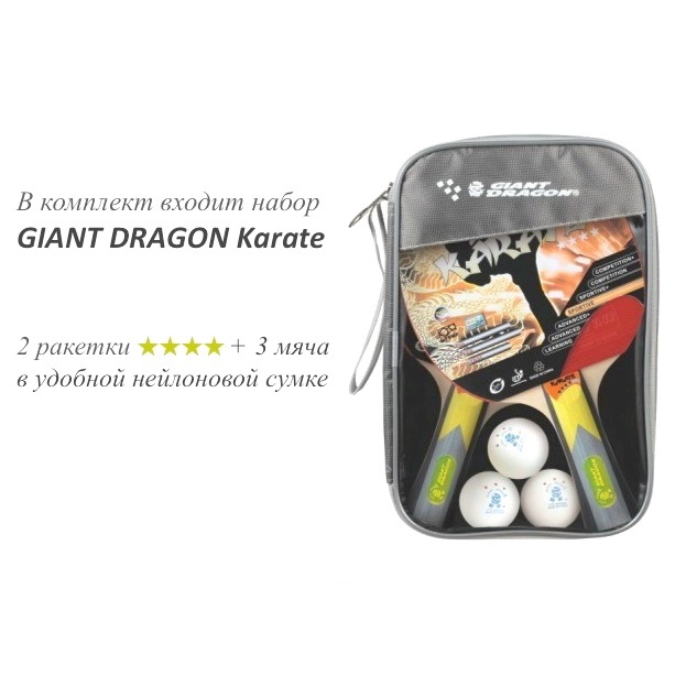 Комплектация теннисного стола складного любительского GIANT DRAGON Power 800 Комплектация теннисного стола складного любительского GIANT DRAGON Power 800