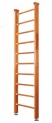 4302_big.jpg