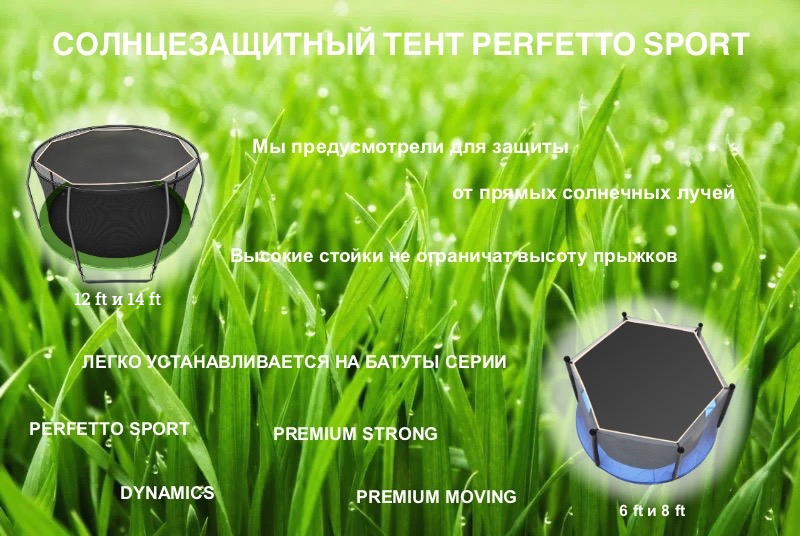 �������������� ���� ��� ������ 14 ����� Perfetto Sport PS-014