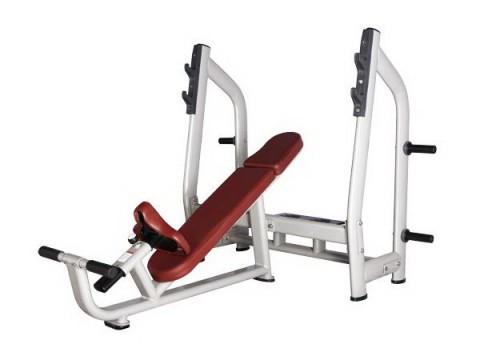 ������ ��� ���� � ������������� �������� Bronze Gym H-025