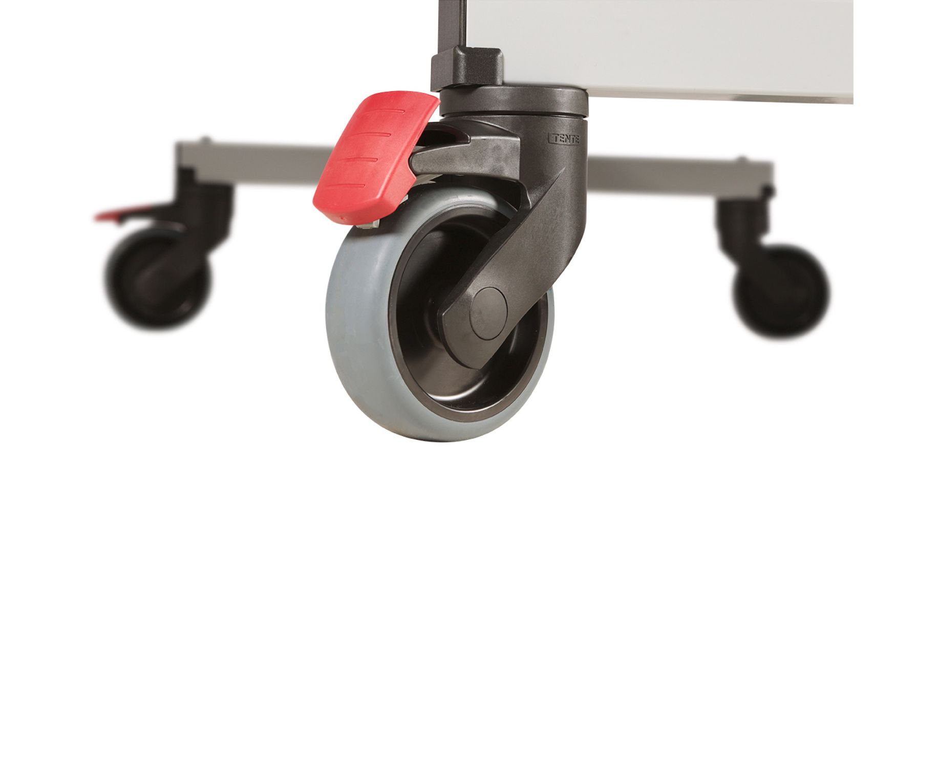 ��������� ���� �������� ��������� DONIC Waldner Classic 25 ITTF