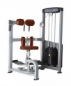Торс-машина Bronze Gym D-011