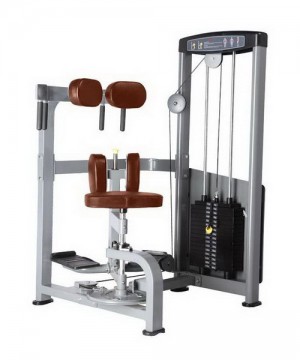 Торс-машина Bronze Gym D-011 Торс-машина Bronze Gym D-011