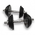 Гантели наборные Fitnessport DB-05/40кг