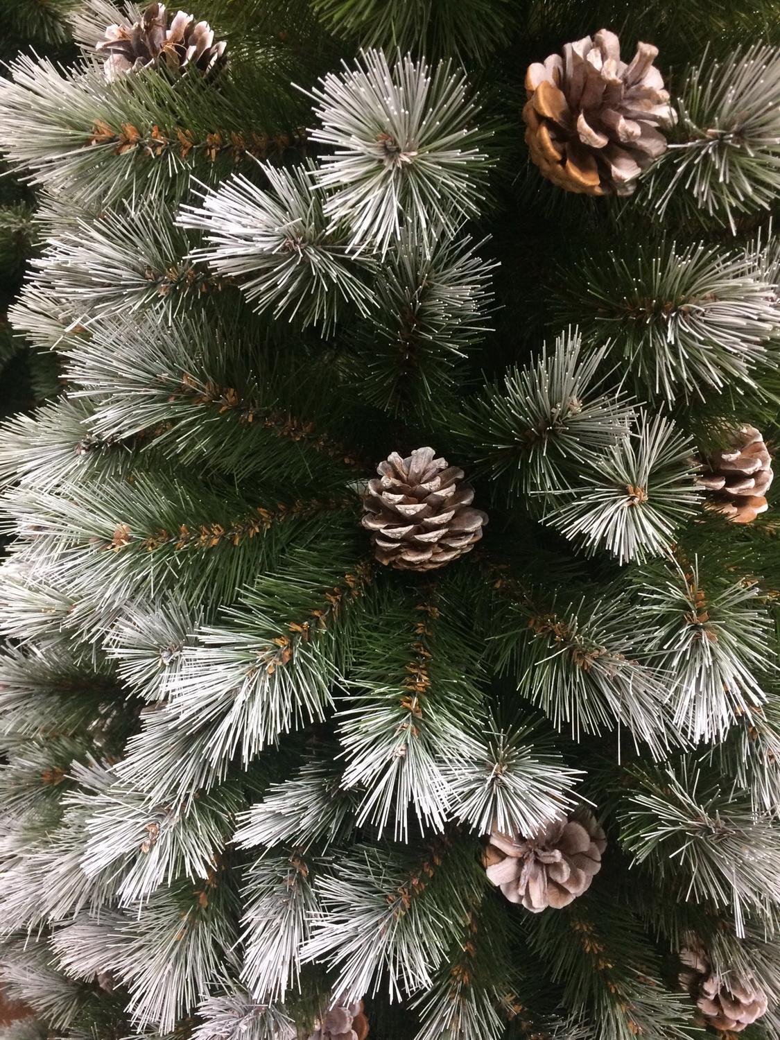 Хвоя с шишками ели комнатной напольной Triumph Tree Женева 215 см с шишками заснеженная Хвоя с шишками ели комнатной напольной Triumph Tree Женева 215 см с шишками заснеженная